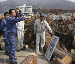 2011全日本研究团队：康复减慢，但没有停止